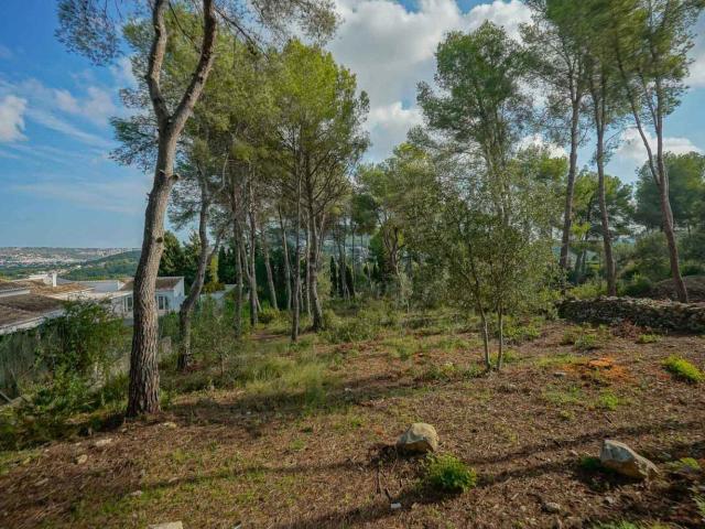 Terreno en venta en Covatelles, la Marina Alta