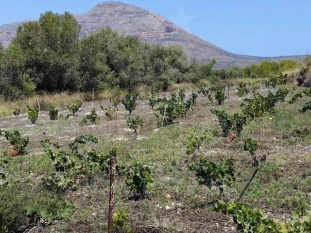 Terreno en venta en la Marina Alta, Valencia