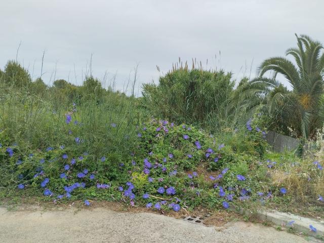 Terreno en venta en Urbanització Montgó-Toscamar, Xàbia / Jávea