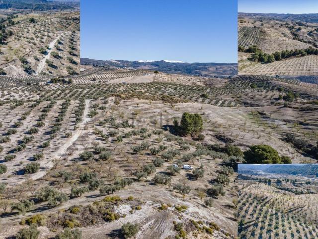 Terreno en venta en Comarca de Alhama, Andalucía