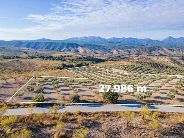 Terreno en venta en Comarca de Alhama, Andalucía