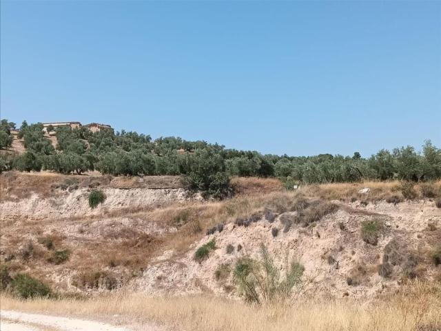 Terreno en venta en Jódar, Andalucía