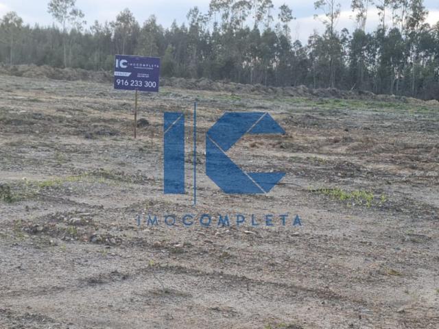 Terreno venda em Albergaria-a-Velha e Valmaior, Albergaria-a-Velha