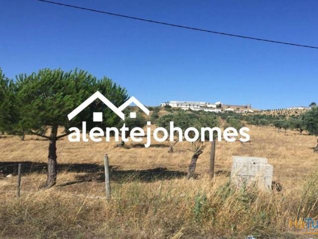 Terreno venda em Arraiolos, Évora
