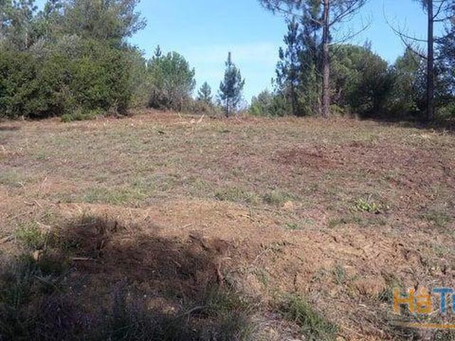 Terreno venda em Tomar, Santarém