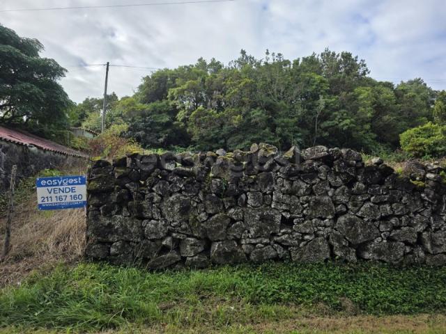 Terreno venda em Açores, Madalena