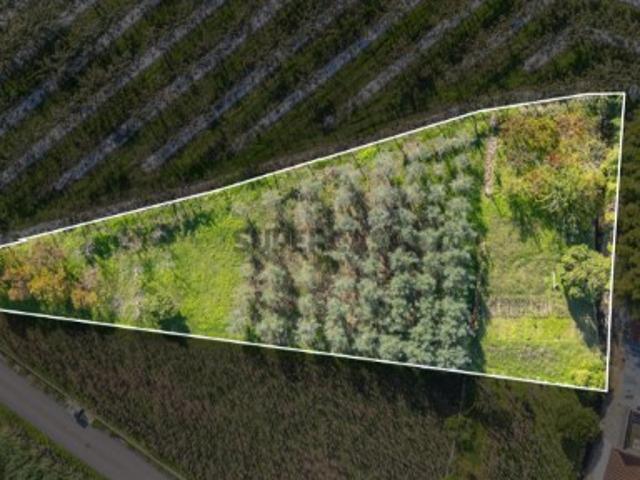 Terreno venda em Coimbrã, Almalaguês