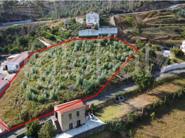 Terreno venda em Rachado, Sever Do Vouga