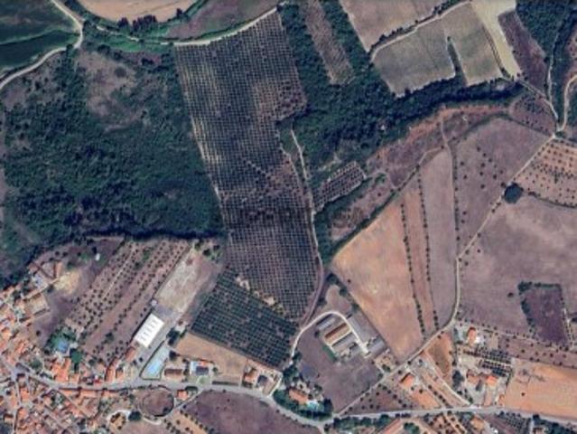 Terreno venda em Rio Maior, Santarém