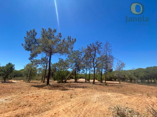 Terreno venda em Loulé, Faro