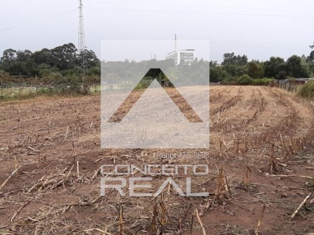 Terreno venda em Costa, Valongo