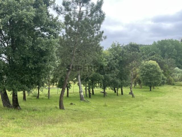 Terreno venda em Leiria