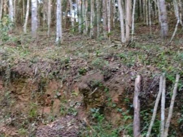 Terreno venda em Região Imediata de São Paulo, Região Metropolitana de São Paulo