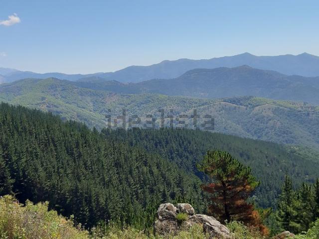 Terreno en venta en Serranía de Ronda, Andalucía