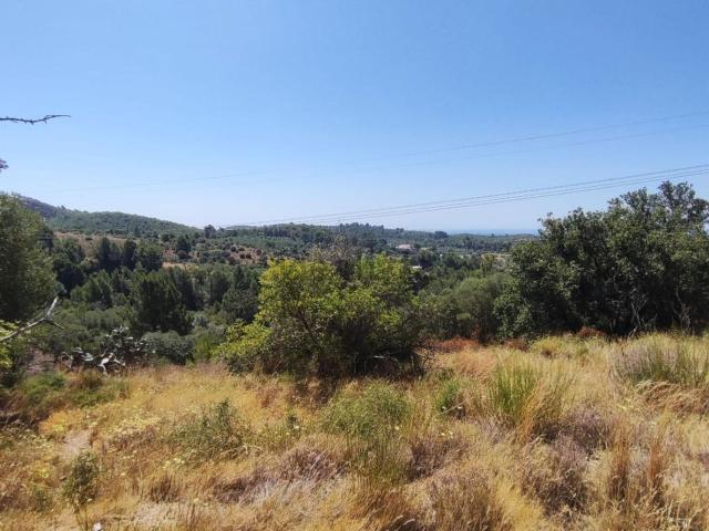 Terreno en venta en Baix Camp, Catalunya