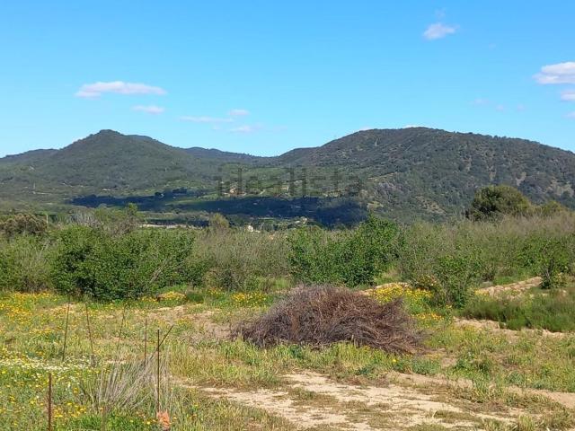 Terreno en venta en Baix Camp, Catalunya