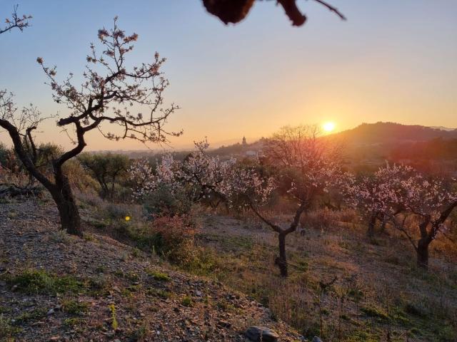 Terreno en venta en Baix Camp, Catalunya