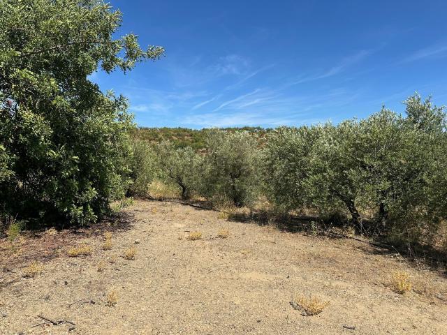 Terreno en venta en Baix Camp, Catalunya