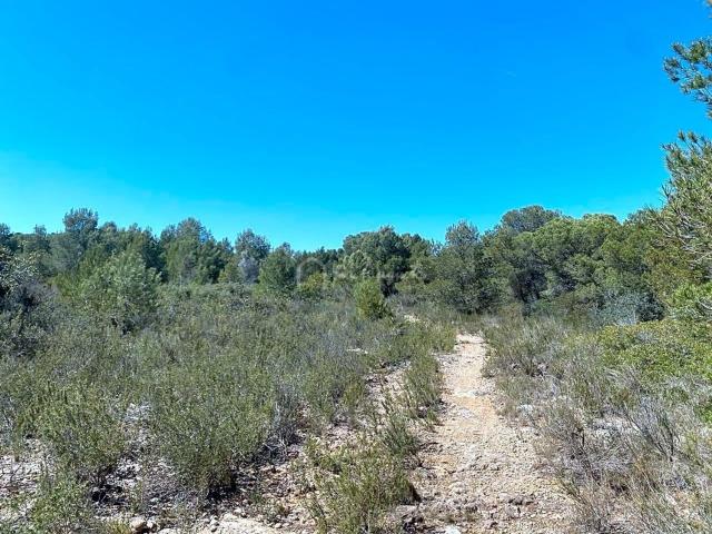 Terreno en venta en els Racons, Baix Ebre