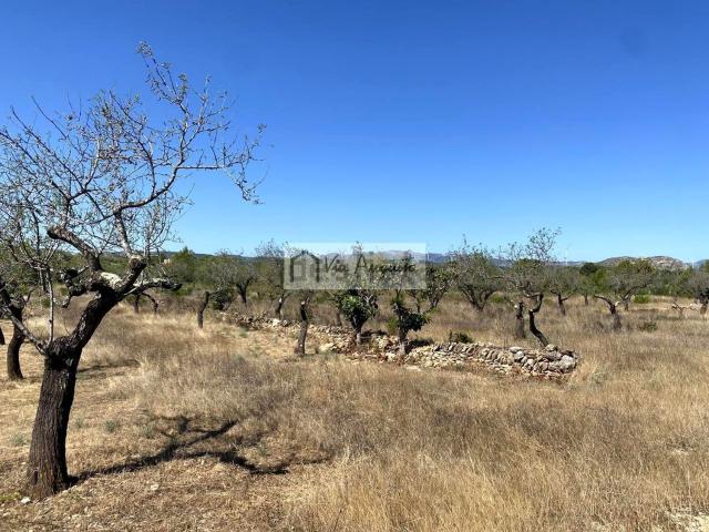 Terreno en venta en l'Ametlla de Mar, Tarragona