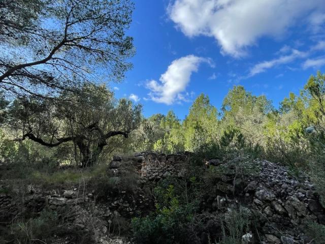 Terreno en venta en Baix Ebre, Catalunya