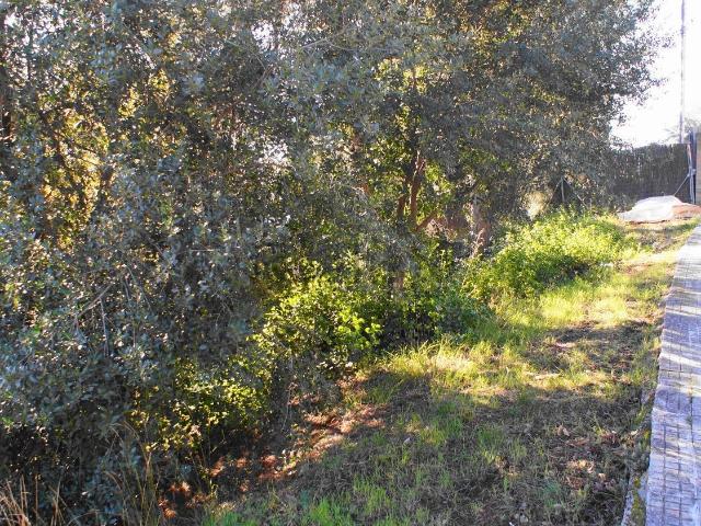 Terreno en venta en Vallès Oriental, Catalunya