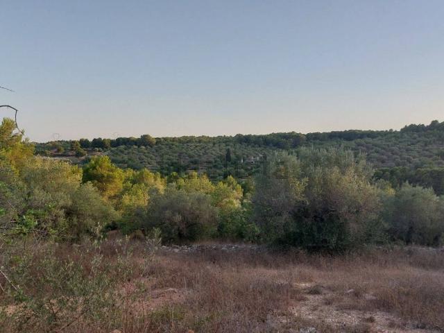 Terreno en venta en Baix Ebre, Catalunya