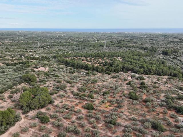 Terreno en venta en Baix Ebre, Catalunya