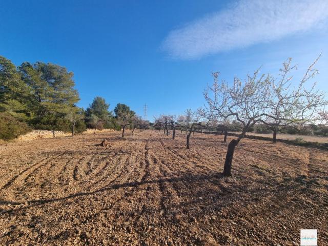 Terreno en venta en Baix Ebre, Catalunya