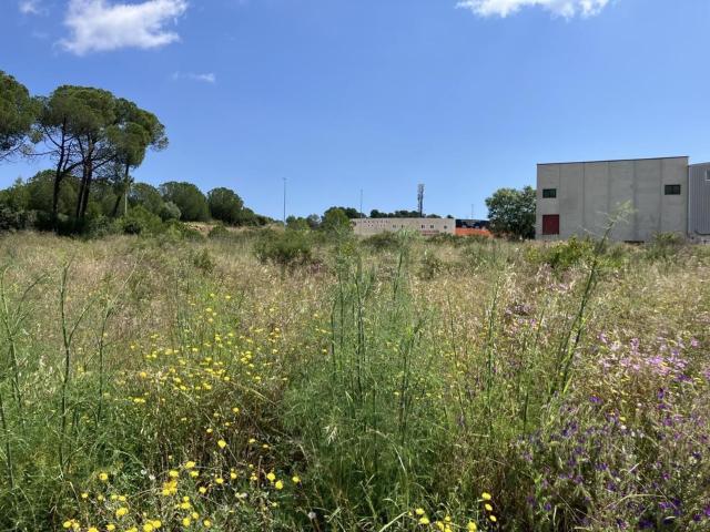 Terreno en venta en Camp dels Pilans, Alt Empordà