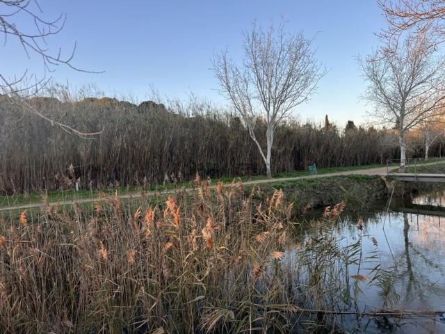 Terreno en venta en Camp dels Pilans, Alt Empordà