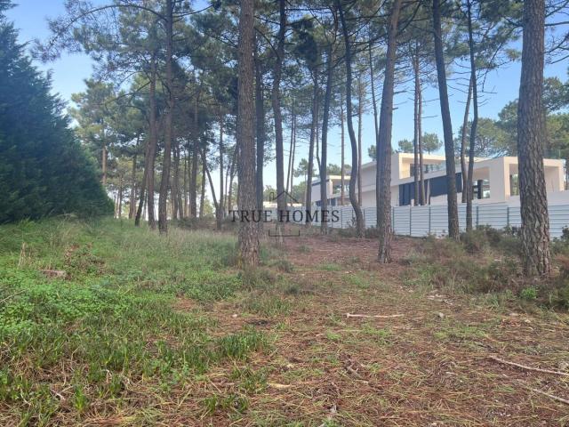 Terreno venda em Seixal, Amora