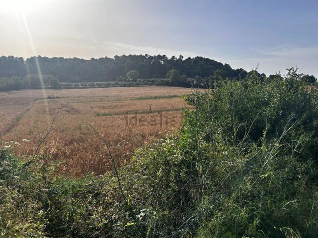 Terreno en venta en Baix Empordà, Catalunya