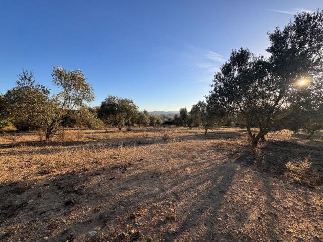 Terreno en venta en Castell d'Empordà, Baix Empordà