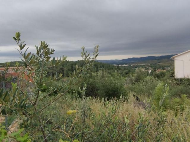 Terreno en venta en el Priorat de la Bisbal, Baix Penedès
