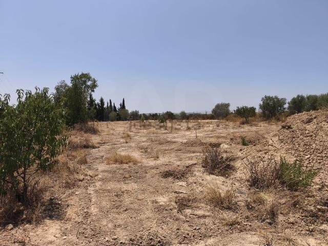 Terreno en venta en el Papiolet, Baix Penedès