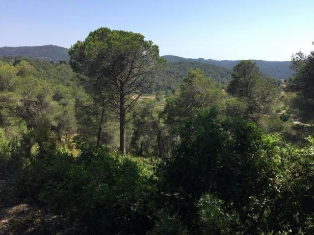 Terreno en venta en Baix Penedès, Catalunya