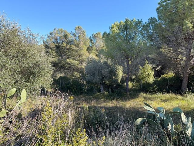 Terreno en venta en Baix Penedès, Catalunya