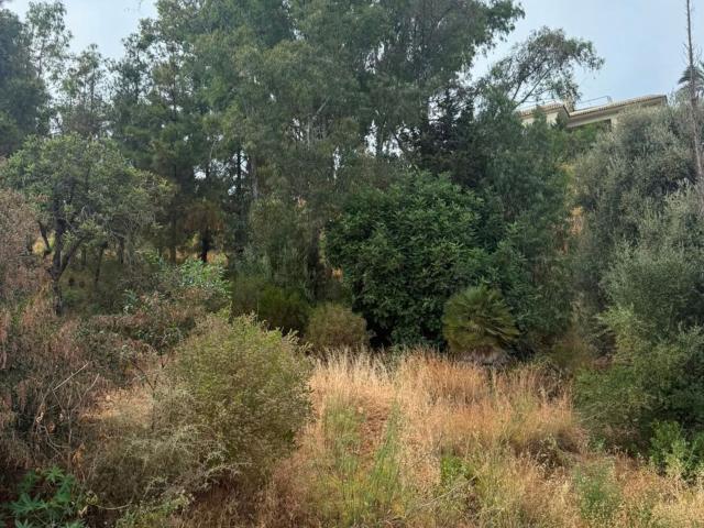 Terreno en venta en Torrevigía - Las Joyas, Estepona