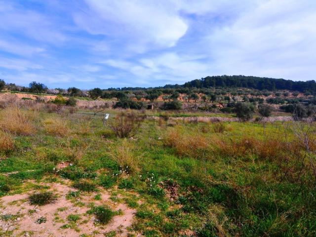 Terreno en venta en Terra Alta, Catalunya