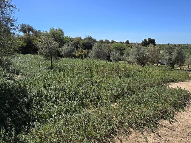 Terreno en venta en La Floresta, Lleida