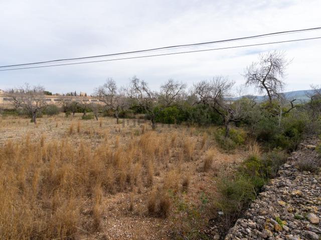 Terreno en venta en Montsià, Catalunya