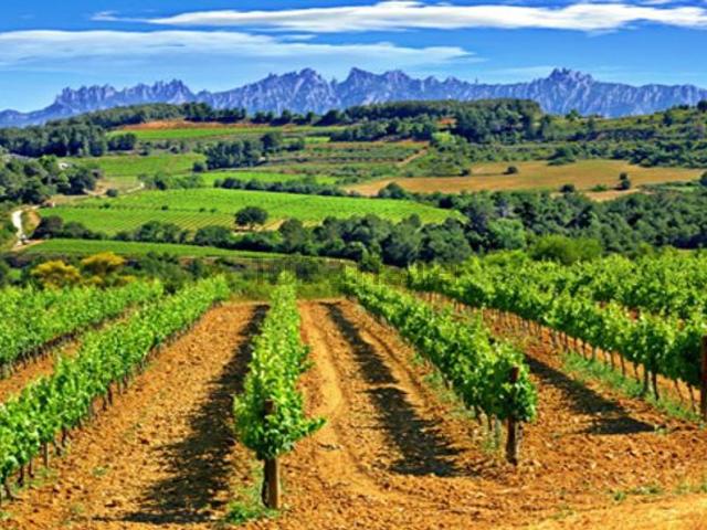 Terreno en venta en Alt Penedès, Catalunya