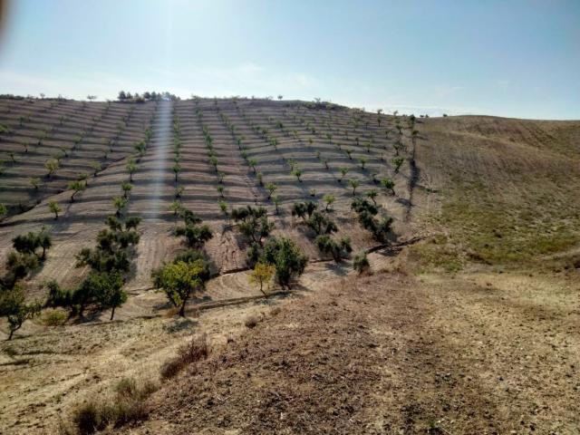 Terreno en venta en Comarca de Alhama, Andalucía