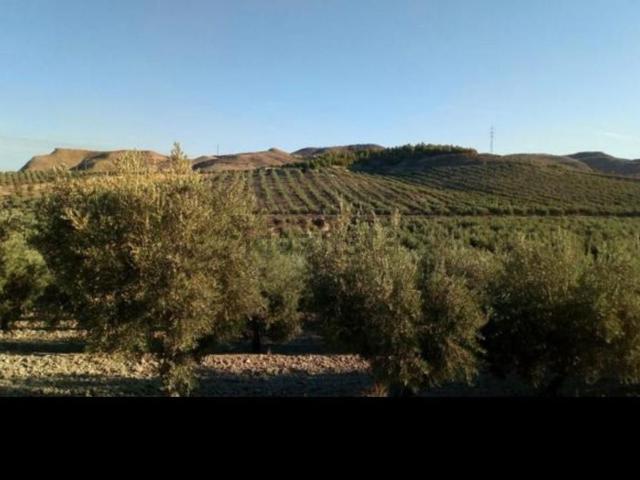 Terreno en venta en Comarca de Alhama, Andalucía
