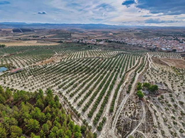 Terreno en venta en Comarca de Alhama, Andalucía