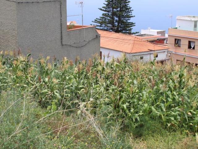 Terreno en venta en La Matanza de Acentejo, Canarias