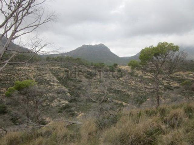 Terreno en venta en Coloma, la Marina Baixa