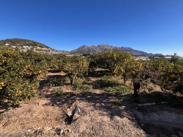 Terreno en venta en la Marina Baixa, Valencia