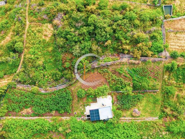 Terreno en venta en Pino Alto, La orotava